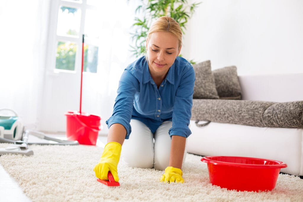 area rug cleaning | Flooring 101