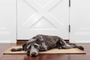 Using Entry Mats | Flooring 101