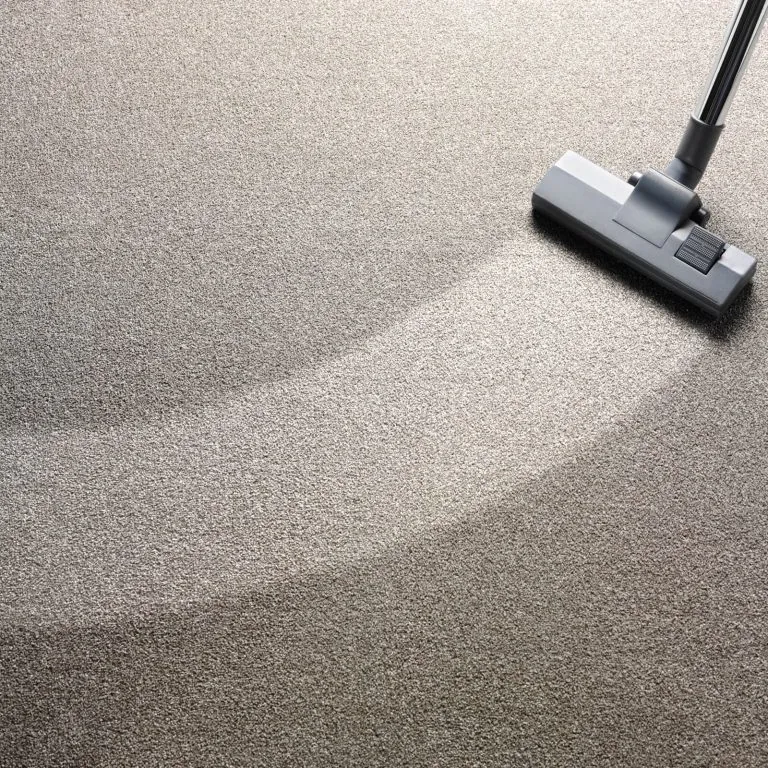 Carpet Cleaning | Flooring 101