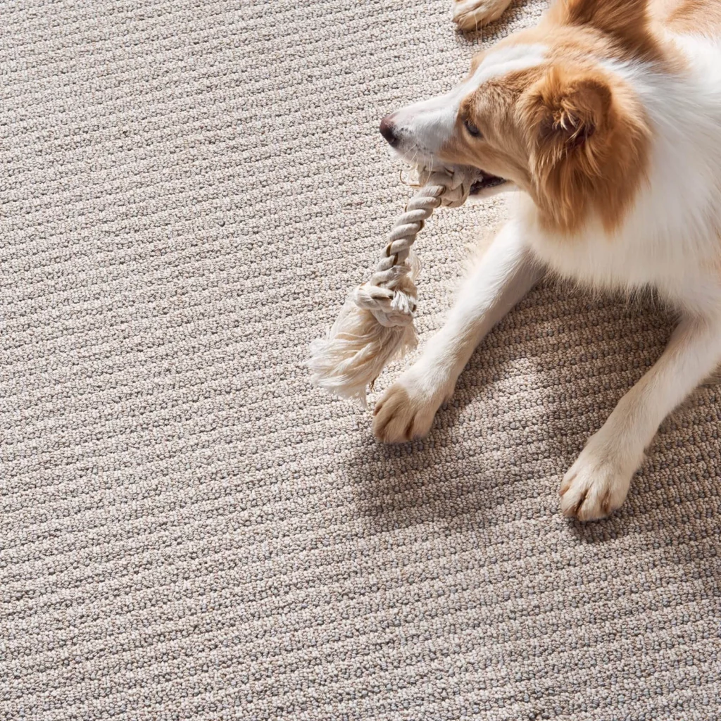 Carpet Flooring | Flooring 101