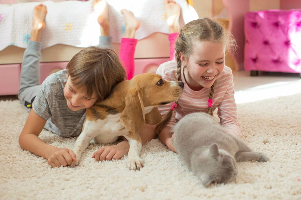 children and pets playing on soft carpet