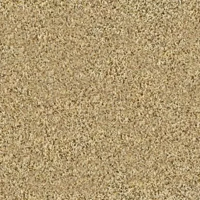 Carpet Flooring | Flooring 101
